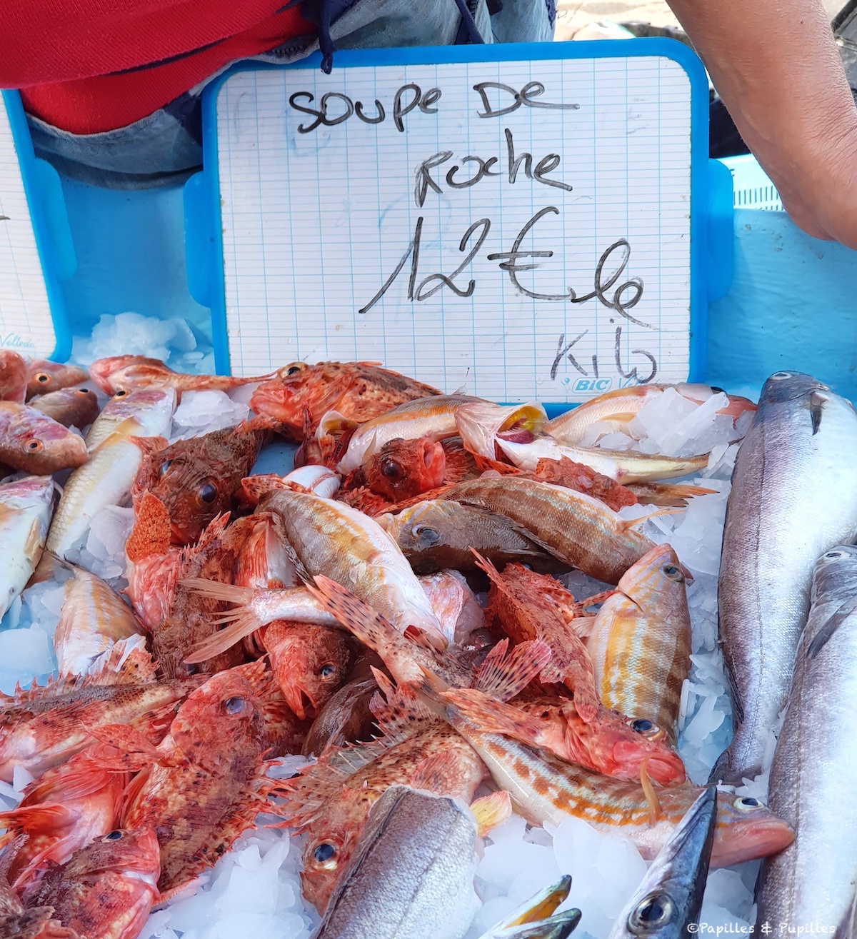 Pescado para sopa de roca